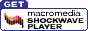 Macromedia Shockwave Player